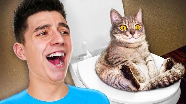 Засмеялся - задонатил челлендж! **очень смешно** Засмеялся - задонатил челлендж! **очень смешно**