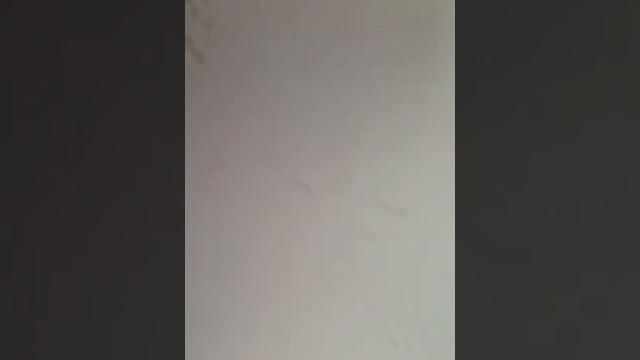 Девушка перекуп Девушка перекуп