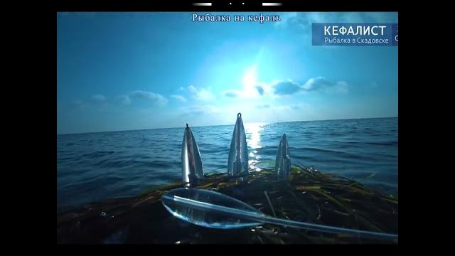 #shorts fishing, рыбалка, риболовля, pesca, balıqçılıq, 釣り, balık tutma, балық аулау, თევზჭერის #shorts fishing, рыбалка, риболовля, pesca, balıqçılıq, 釣り, balık tutma, балық аулау, თევზჭერის