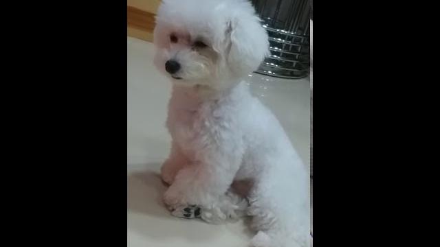 小白妹妹的生活~~~~~釣魚篇 小白妹妹的生活~~~~~釣魚篇