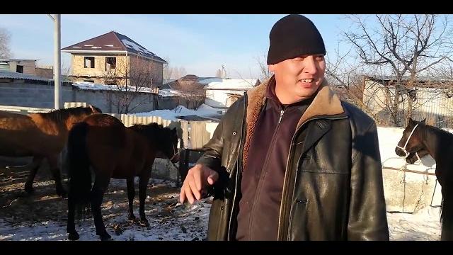 Каракол мал базар. Каракол мал базар.