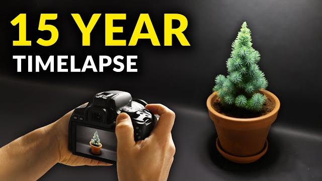 I filmed plants for 15 years | time-lapse compilation I filmed plants for 15 years | time-lapse compilation