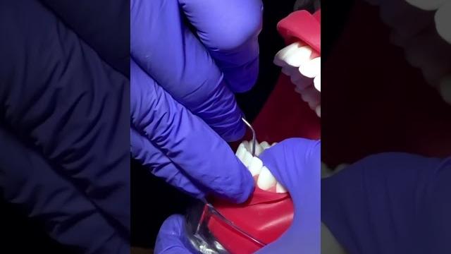 Obtén tu licencia de higienista en florida: descubre nuestro adex dental hygiene prep course #adex Obtén tu licencia de higienista en florida: descubre nuestro adex dental hygiene prep course #adex