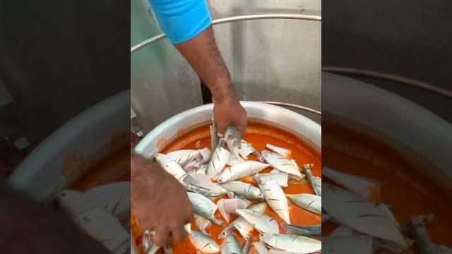 ‼️cooking pomfret & mackerel curry by the waves—pure coastal vibes‼️ #seafood #oceanlife ‼️cooking pomfret & mackerel curry by the waves—pure coastal vibes‼️ #seafood #oceanlife