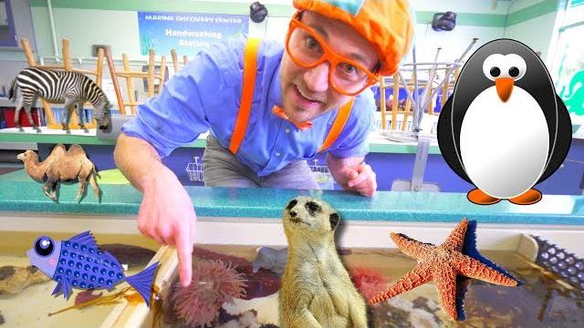 Blippi visits a zoo (point defiance zoo & aquarium) | blippi full episodes | blippi toys Blippi visits a zoo (point defiance zoo & aquarium) | blippi full episodes | blippi toys