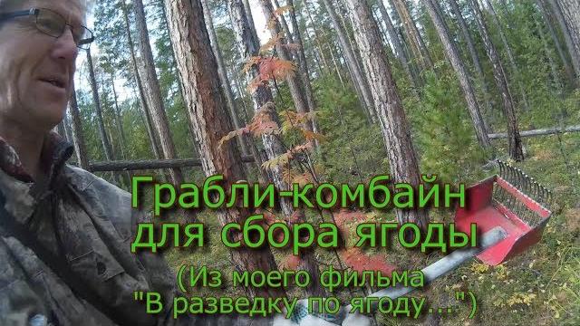Грабли-комбайн для сбора ягоды (эксперимент) Грабли-комбайн для сбора ягоды (эксперимент)