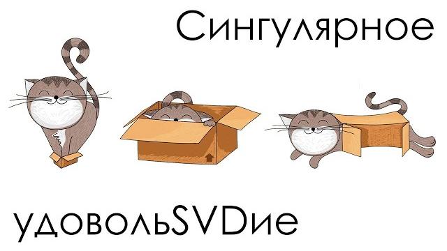Сингулярное удовольsvdие Сингулярное удовольsvdие