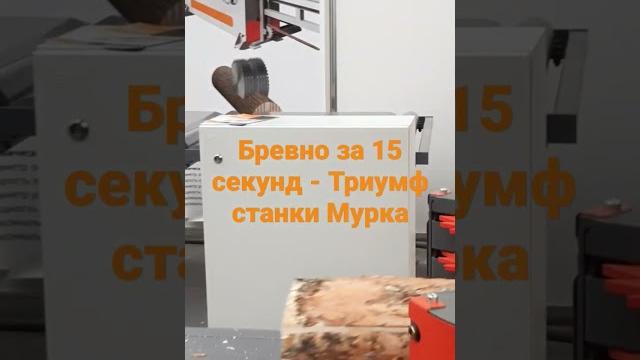 Станки мурка лесопильная линия триумф Станки мурка лесопильная линия триумф