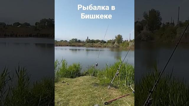 7 мая 2023 г. 7 мая 2023 г.