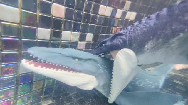 Double mosasaurus underwater battle jurassic world Double mosasaurus underwater battle jurassic world