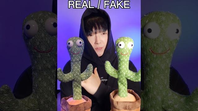 Real / fake #beatbox #teamreal Real / fake #beatbox #teamreal