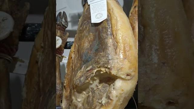 Неплохой хамончик Неплохой хамончик