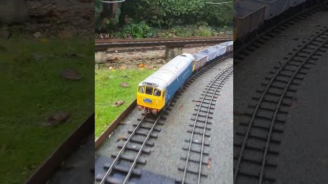Gauge 1 class 25 hauling freight wagons at abbeydale miniature railway #aldmodels #gardenrailway Gauge 1 class 25 hauling freight wagons at abbeydale miniature railway #aldmodels #gardenrailway