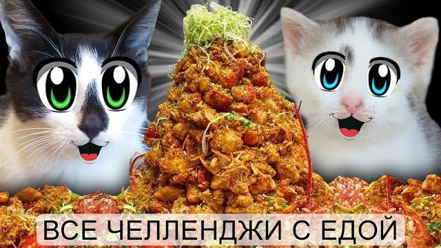 Челленджи с едой для котов! обычная еда против животных ! подписчики выбирают победителя Челленджи с едой для котов! обычная еда против животных ! подписчики выбирают победителя