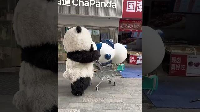It's mine now. gaoyou damn city. gaoyou chao fun amusement park. gaoyou economic development zon It's mine now. gaoyou damn city. gaoyou chao fun amusement park. gaoyou economic development zon