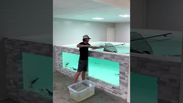 I built my dream aquarium I built my dream aquarium