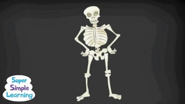 The skeleton dance | classroom fun | super simple songs The skeleton dance | classroom fun | super simple songs