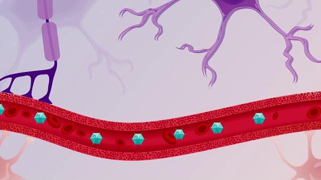Sma type 1: how gene therapy works Sma type 1: how gene therapy works
