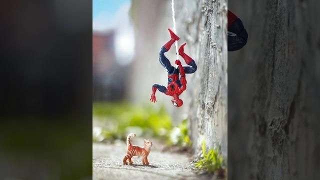 Hello kind sir! #spiderman #marvel #cat Hello kind sir! #spiderman #marvel #cat