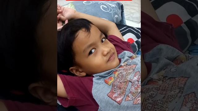 Bos kecil lagi di pijat Bos kecil lagi di pijat