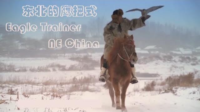 东北的鹰把式 eagle trainer at ne china 东北的鹰把式 eagle trainer at ne china