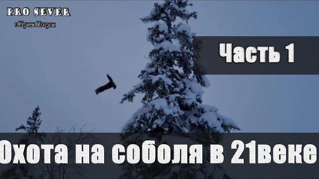 Охота на соболя в 21 веке. промысел. охотники промысловики. счастливые люди туруханский район. Охота на соболя в 21 веке. промысел. охотники промысловики. счастливые люди туруханский район.