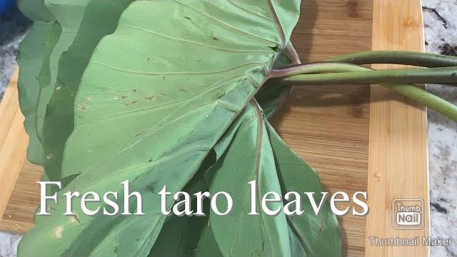 How to cook /laing/fresh taro leaves super yummy How to cook /laing/fresh taro leaves super yummy
