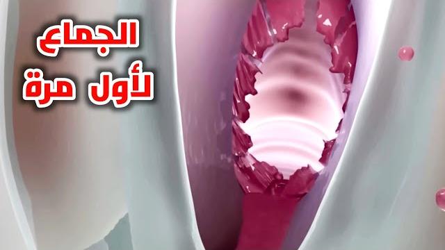 شاهد كيف يحدث الجماع اثناء اول مرة وفض غشاء البكارة بأسهل طريقة_a woman's firsttime intercourse شاهد كيف يحدث الجماع اثناء اول مرة وفض غشاء البكارة بأسهل طريقة_a woman's firsttime intercourse
