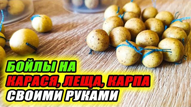 Эти самодельные бойлы косят карася, леща и карпа! как сделать бойлы для рыбалки своими руками?! Эти самодельные бойлы косят карася, леща и карпа! как сделать бойлы для рыбалки своими руками?!