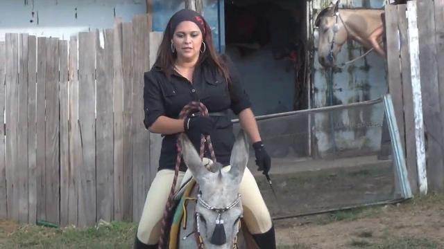 Big girl’s epic donkey riding journey! #donkey #donkeyriding #reiten #eselreiten #ponyriding Big girl’s epic donkey riding journey! #donkey #donkeyriding #reiten #eselreiten #ponyriding