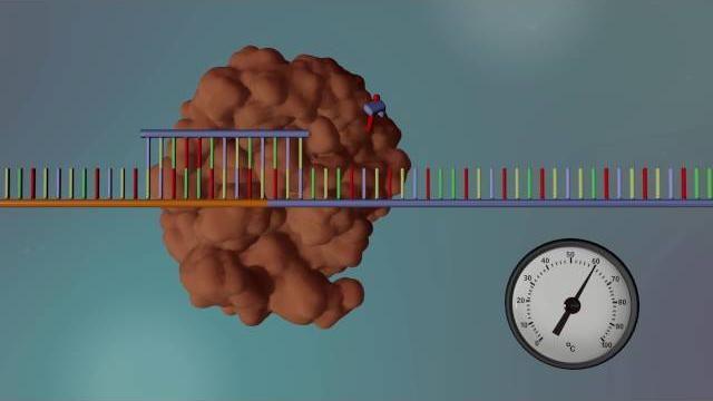 Dna sequencing - 3d Dna sequencing - 3d