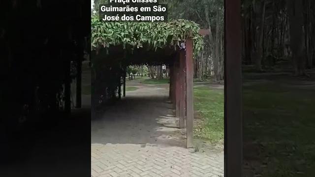 São josé dos campos sp - #brazil #praca #saopaulo #saojosedoscampos #sp #interiorsp #sjc #nature São josé dos campos sp - #brazil #praca #saopaulo #saojosedoscampos #sp #interiorsp #sjc #nature