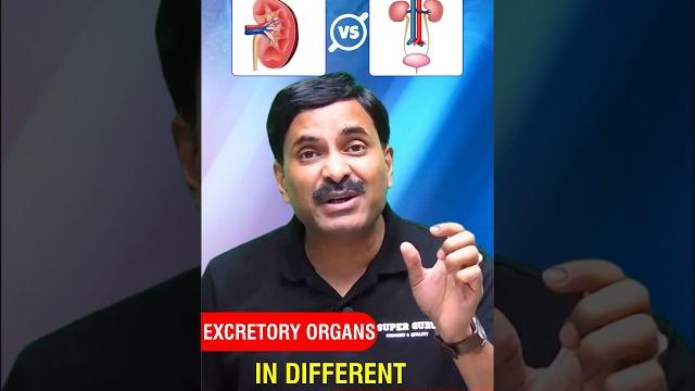 Excretory organs in different organisms | who excretes how⁉️ #biologyshorts #biology #shortsfeed Excretory organs in different organisms | who excretes how⁉️ #biologyshorts #biology #shortsfeed
