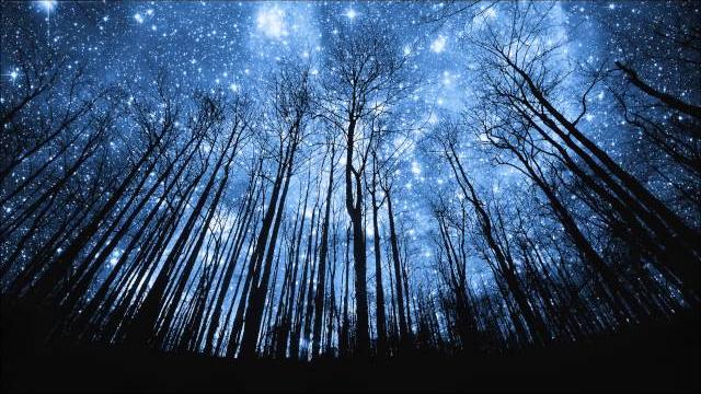 V.k克-晨星 V.k克-晨星