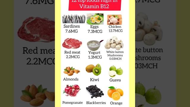 Vitamin b12 rich foods Vitamin b12 rich foods