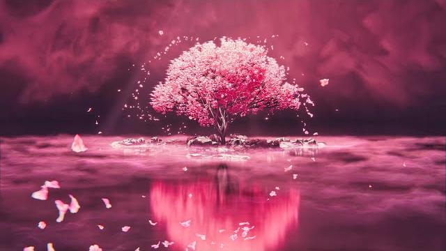 Spirit tree - 12 hours - 4k ultra hd 60fps Spirit tree - 12 hours - 4k ultra hd 60fps