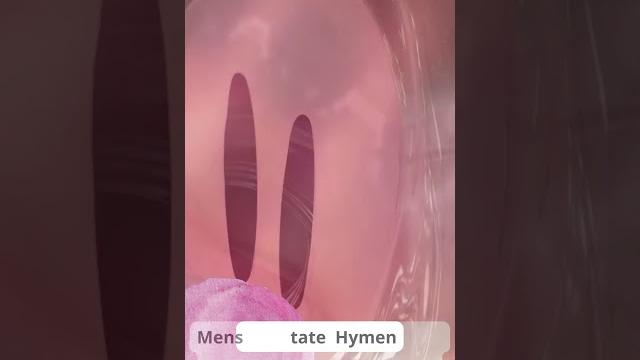 The hymen#shorts The hymen#shorts