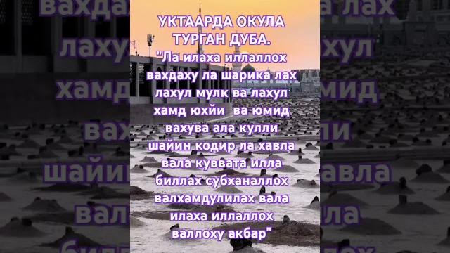 Уктаарда окула турган дуба. Уктаарда окула турган дуба.