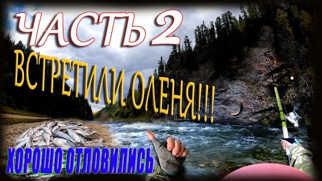 Часть2/осенняя рыбалка по кии/заброшенное урочище/таёжная баня/ловим хариус/активный отдых Часть2/осенняя рыбалка по кии/заброшенное урочище/таёжная баня/ловим хариус/активный отдых