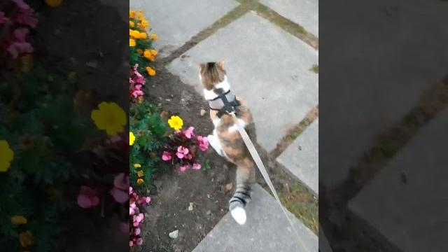 Здравствуйте товарищи Здравствуйте товарищи