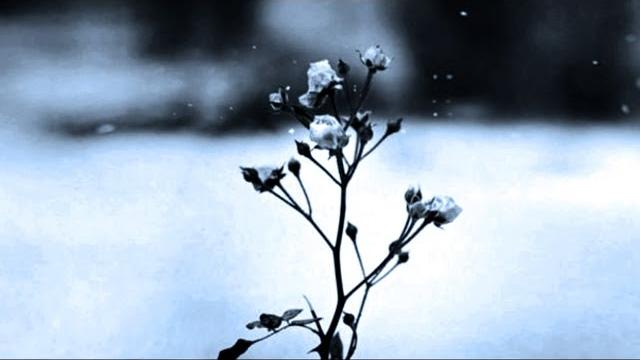 Chopin spring waltz 1 hours Chopin spring waltz 1 hours