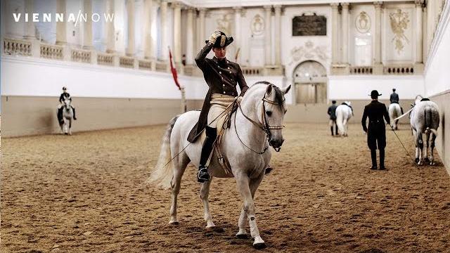 Spanish riding school vienna | vienna/now sights Spanish riding school vienna | vienna/now sights