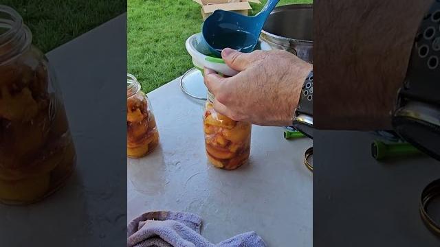Homemade canned peaches in 1 minute #diy #canning #canningandpreserving #peaches #harvest Homemade canned peaches in 1 minute #diy #canning #canningandpreserving #peaches #harvest