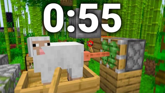 Minecraft sheep f*cker speedrun fwr (0:55) Minecraft sheep f*cker speedrun fwr (0:55)