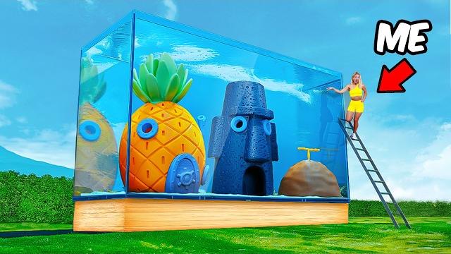 I built bikini bottom in a fish tank! I built bikini bottom in a fish tank!