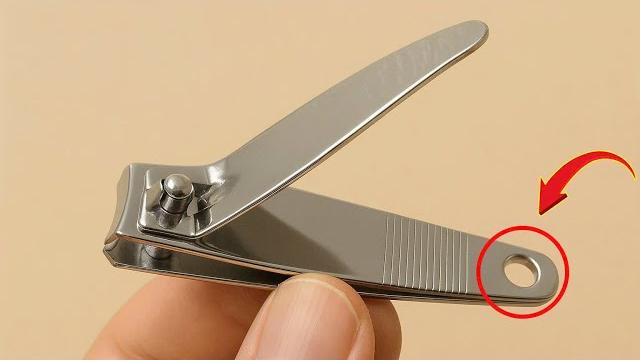 Millions of people don't know this secret use of nail clippers!! you won't believe it Millions of people don't know this secret use of nail clippers!! you won't believe it