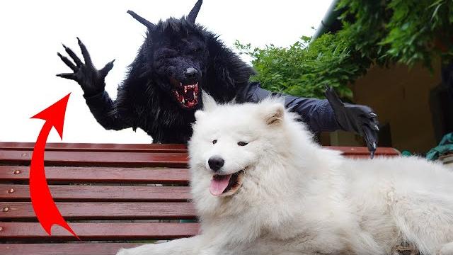 How to make scary werewolf halloween costume How to make scary werewolf halloween costume