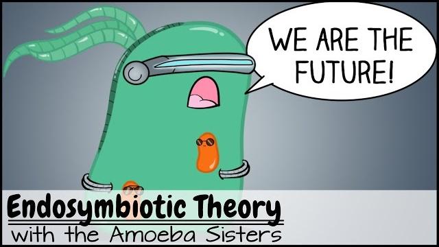 Endosymbiotic theory Endosymbiotic theory