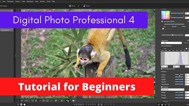 Canon dpp4 beginners tutorial 2021| digital photo professional | edit raw files | adjust your photo| Canon dpp4 beginners tutorial 2021| digital photo professional | edit raw files | adjust your photo|