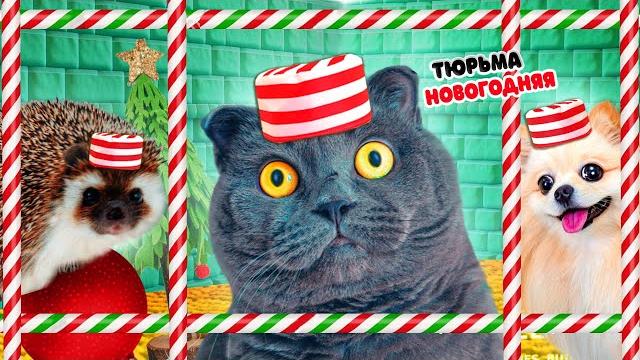 Побег из тюрьмы челлендж ! кто последний покинет новогоднюю тюрьму кот баттерс ? 24 часа челлендж Побег из тюрьмы челлендж ! кто последний покинет новогоднюю тюрьму кот баттерс ? 24 часа челлендж